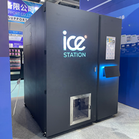 JOYVEND Machine à glace automatique d'extérieur 450 kg/jour pour sacs de glace, certifiée CE, pour bars, pêche, magasins, événements, sites de villégiature