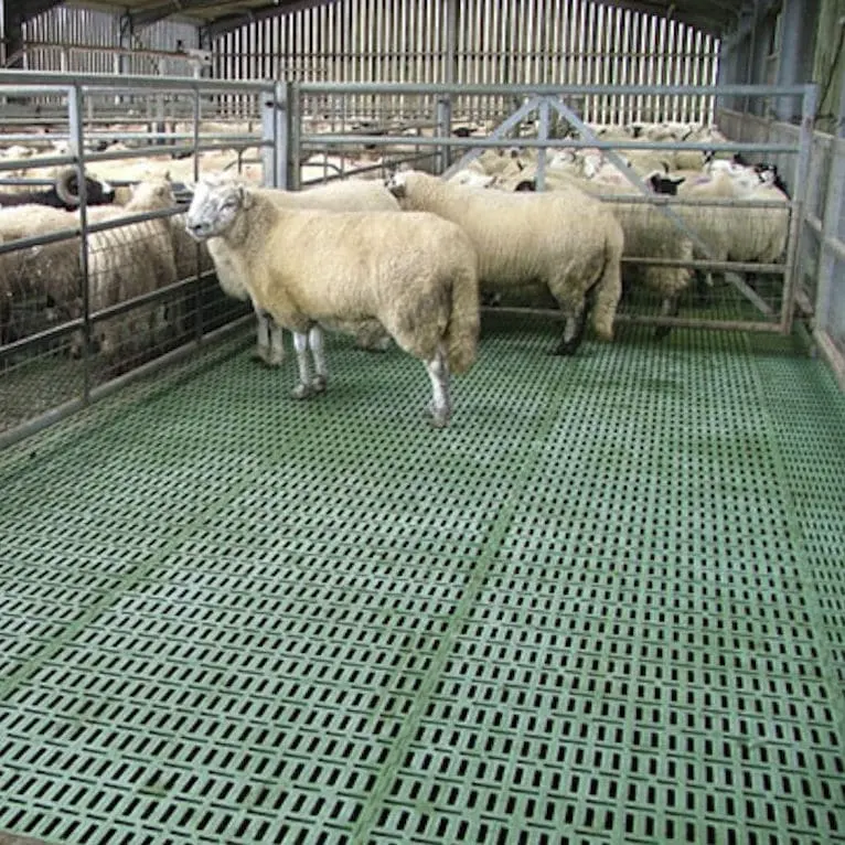 Revêtement de sol en plastique pour mouton, m, revêtement de sol en plastique contre la chèvre à sel, ouverture rapide