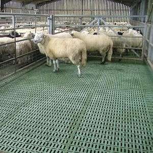 Durable sheep plastic floor covering and plastic salt goat flooring plastic slatted floor for goat sheep farming