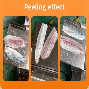 เครื่องลอกหนังปลาอัตโนมัติ 15-30 ชิ้น/นาที สำหรับปลาทิลาเปีย ปลาแซลมอน ปลาหมึก มีจำหน่าย - Product Image 2