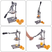 Handmatige Thuisgebruik Juicer Persmachine Fruit-En Groenteverwerker Met Pomp Voor Voedingswinkels