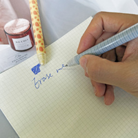 Stylos gel effaçables à l'encre thermosensible, design mignon kawaii sur le thème des animaux du zoo, pour étudiants