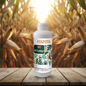 Pupuk Cair Jagung Fosfor Kalium Larut Air Asam Humat Rumput Laut Meningkatkan Berat Hasil Panen Padi Memperkuat - Product Image 2