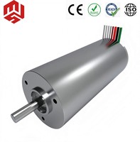 Motor de CC sin Escobillas de Alto Rendimiento BR2250B de 12V/15V/24V/48V, Reemplazo de Maxon para Analizadores y Equipos de Laboratorio