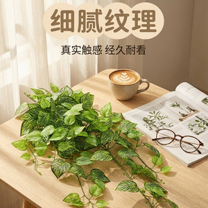 Plante Artificielle Suspendue Xinchengzhi 100cm-200cm, Décoration Intérieure Écologique, Mur Végétal, Liane - Product Image 3