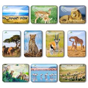 Nouveaux aimants rectangulaires 3D en verre avec animaux, aimants commémoratifs pour réfrigérateur, aimants en cristal pour réfrigérateur - Product Image 3