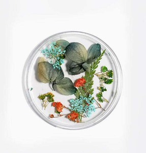 <span class=keywords><strong>Flores</strong></span> <span class=keywords><strong>secas</strong></span> prensadas Nail Art, decoración 3D de <span class=keywords><strong>flores</strong></span> <span class=keywords><strong>secas</strong></span> reales para <span class=keywords><strong>uñas</strong></span> <span class=keywords><strong>acrílicas</strong></span> en Gel UV - Product Image 6