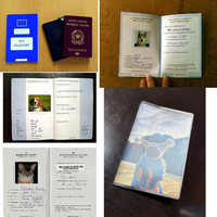 Aangepaste logo dieren hond kat puppy huisdier paspoort poster karton kunstpapier gestreken papier hete-stempel offset gedrukt Engels boekje