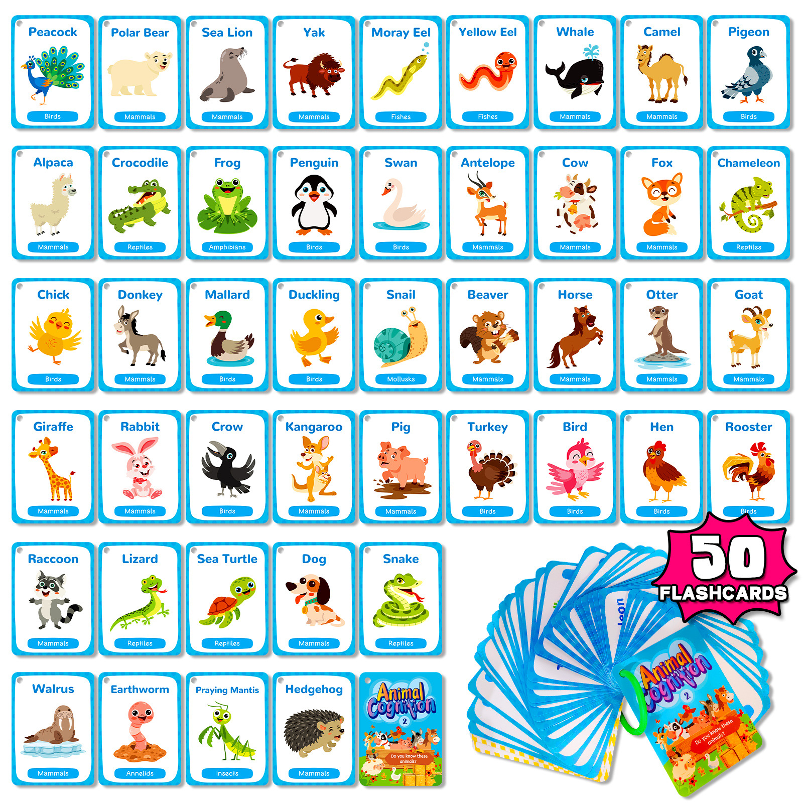 50 шт., Детские флеш-карты