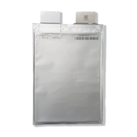 Prix d'usine Batterie au lithium Lifepo4 3.2v Soft Pack 20ah 25ah 30ah 50ah Lfp Nmc Lipo Pouch Cells