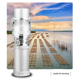 Pompe immergée triphasée à immersion d'huile en acier inoxydable QY, haute levée, 380V, irrigation agricole industrielle, haut débit - Product Image 2