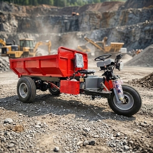 Motocarro <span class=keywords><strong>de</strong></span> Carga, Triciclo Motorizado <span class=keywords><strong>de</strong></span> Reparto, Mini Dumper, Motocicleta <span class=keywords><strong>de</strong></span> Carga, Triciclos Eléctricos - Product Image 1