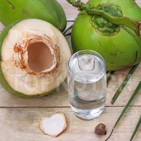 Robot culinaire manuel, machine à couper la noix de coco verte, presse manuelle pour ouvrir les noix de coco