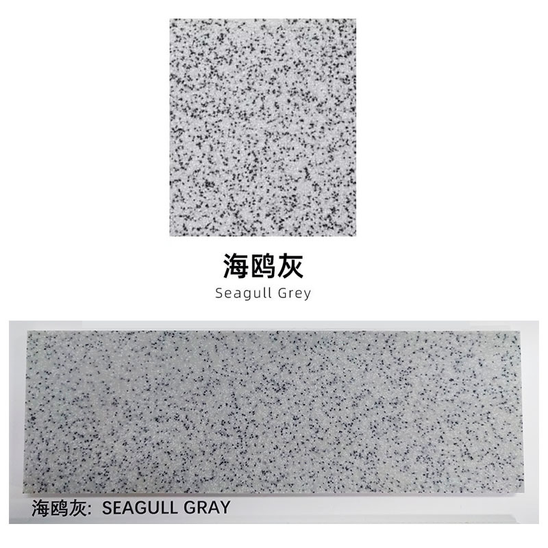 seagull gray