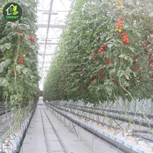 गर्म बिक्री जस्ती ग्रीनहाउस कृषि के लिए तम्बू - Product Image 1