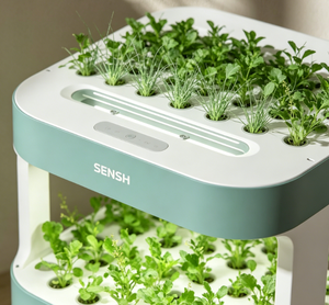 Système de culture hydroponique intelligent à 3 niveaux avec éclairage LED pour herbes et légumes <span class=keywords><strong>d</strong></span>'<span class=keywords><strong>intérieur</strong></span> - Product Image 6