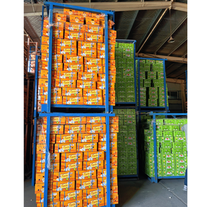 Ajo Chino de Alta Calidad y al Mejor Precio, Compre Ajo Chino en Cajas de 1kg, 5kg y 10kg, Precio de Venta - Product Image 2