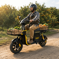 Vélo Électrique Urbain Intelligent à Moteur, Sans Batterie, Prix Usine, avec Indicateur de Vitesse et Autonomie, Idéal pour Adultes en Déplacement Quotidien