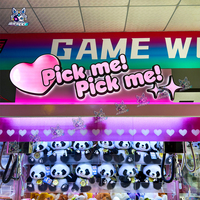 Machine à griffes professionnelle 2 joueurs, machine d'arcade moderne avec lecteur de cartes pour un retour sur investissement élevé dans les centres de jeux sans personnel
