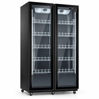 Réfrigérateur à boissons professionnel de qualité supérieure avec porte en verre, double porte en acier inoxydable et éclairage LED pour restaurant