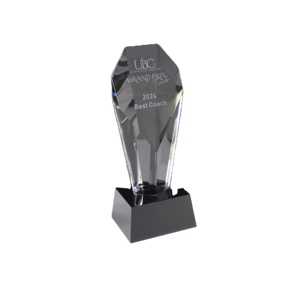 HITOP danh hiệu K9 pha lê của viatenam nguồn gốc/Globe Trophy khắc logo pha lê/Trophy giải thưởng pha lê - Product Image 1