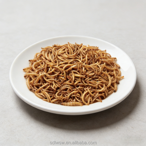 <strong>Natural</strong> Dried Yellow Mealworms High Protein <strong>Feed</strong> for Bluebirds <strong>Chickens</strong> Hedgehogs Reptiles - Product Image 1