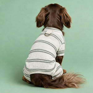 Ropa para Perros Dachshund, Camisa Personalizada para Perros Mini Dachshund, Ropa para Mascotas con Logotipo OEM, Prenda Ligera - Product Image 3