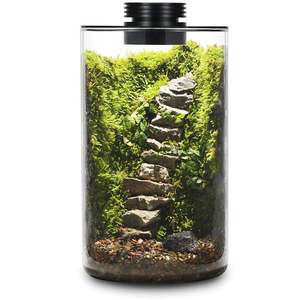 Terrarium en verre <span class=keywords><strong>de</strong></span> bureau avec lumière <span class=keywords><strong>de</strong></span> croissance pour plantes succulentes, <span class=keywords><strong>mousse</strong></span>, paysage miniature, <span class=keywords><strong>aquarium</strong></span> pour poissons Betta - Product Image 2