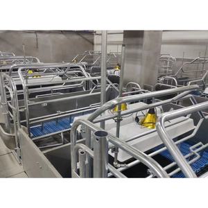 Sow Farrowing Pen-Buy Sow Farrowing Pen Sow Parrow Crates para la venta Jaulas de animales de granja de cerdos - Product Image 5