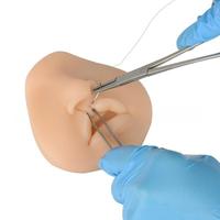 Modèle d'enseignement médical Modèle de lèvre à fente mixte bilatérale en PVC pour la formation de suture chirurgicale Taille de la marque YUYUE 9*8.3*3.5cm
