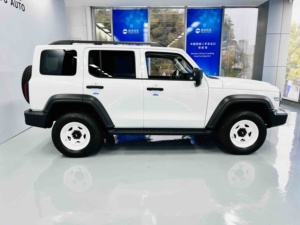 Se Aceptan Pedidos Personalizados: Tank 300 2023 de Bajo Kilometraje, Edición <span class=keywords><strong>Conqueror</strong></span> 2.0T con Volante a la Izquierda, SUV, para Operaciones en África y Compradores de Flotas - Product Image 3
