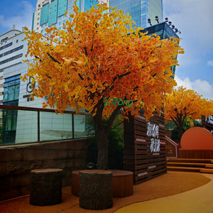 Árbol de <span class=keywords><strong>ginkgo</strong></span> artificial personalizado realista de bajo mantenimiento para el hogar/Hotel/jardín perfecto para mayoristas de diseñadores de interiores - Product Image 3
