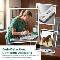 Máquina de Rayos X, Instrumento Veterinario de Ultrasonido, Analizador Digital de Esperma Móvil para Vacas, Inyector para Pezuñas de Vacas