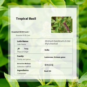 Aceite Esencial de Albahaca Tropical 10ml Destilado 100% Puro Natural Orgánico de Primera Calidad para Aromaterapia, Belleza, Spa, <span class=keywords><strong>Difusor</strong></span>, Hierbas - Product Image 3