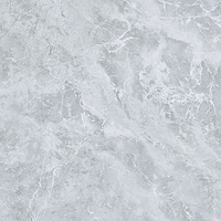 Carrelage en porcelaine aspect marbre gris cendre 600x1200mm moderne facile à nettoyer imperméable pour sol/mur salle de bain hall villa salon hôtel