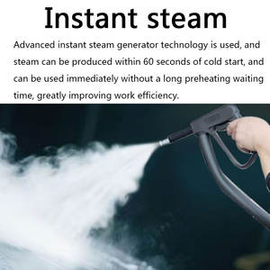 Lavadora de Autos a Vapor Eléctrica de Alta Presión, Temperatura Instantánea, Nuevo Diseño de Carcasa de Plástico, Motor de Vapor Instantáneo - Product Image 3