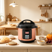 Cuisinière électrique à pression OEM 6L 1000W en acier inoxydable, multicuiseur 10-en-1, logo personnalisé, marque privée