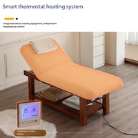 Tempat Tidur Pijat Elektrik Modern Multifungsi untuk Salon Spa, Rangka Kayu Solid, Perawatan Wajah, Moxibustion, dan Hidroterapi