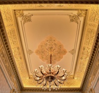 Banruo PU elipse de oro artística ligero techo paneles de techo de Interior decoración de la pared