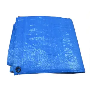 Groothandel Blauw Heavy Duty Hdpe Zeildoek Zeil Pe Plastic Balkon Cover Pe Zeildoek