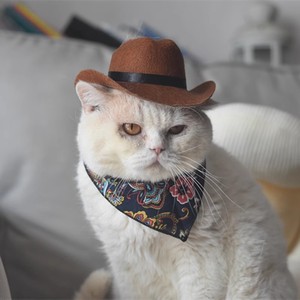 Chapeau de cowboy western pour animaux de compagnie, ensemble collier et bandana |   Accessoire de déguisement amusant pour chat et chien, idéal pour Halloween et Noël - Product Image 1