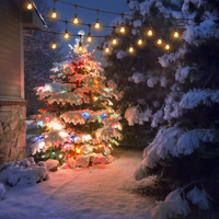 Guirlande lumineuse de décoration à Led S14, imperméable, usage extérieur, féerique, rétro, qualité commerciale, meilleure vente