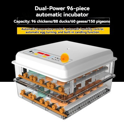Dual-Power Model