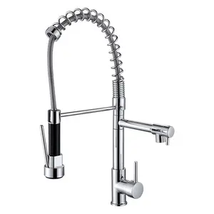 Modern Multifuncional Flexível Primavera Cozinha Sink Faucet Pull Down Dupla saída de água Primavera Cozinha Sink Faucet Jefe Ware