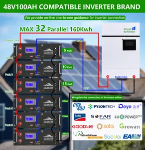 10 Jahre Garantie 19 Zoll 51,2 V 100Ah 32 Stück Parallel 5KWH-160KWH Rack Power Container Solar 48V LiFePO4 Energie speicher batterie