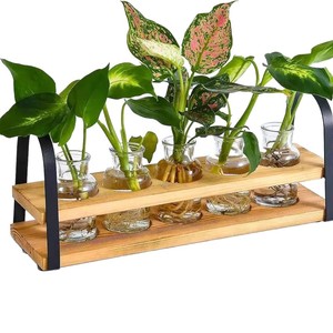 Wooden hydroponic container <b>shelf</b> with transparent glass test tubes and bottles, <b>desktop</b> hydroponic plant container, decorative - Product Image 2