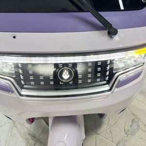 Fully <strong>Enclosed</strong> Electric Tricycle 1000 W Motor Reversing Camera Front Disc Brake Coil Spring Suspension Luxury Cabin <strong>E</strong> <strong>Trike</strong> - Product Image 6