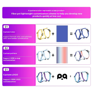 Fabricante, precio al por mayor, lujo, superventas, moda personalizada, <span class=keywords><strong>collar</strong></span> de nailon para perro, correa, arnés, productos para mascotas, característica acolchada - Product Image 6