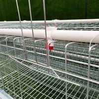 Ferme avicole 3 4 niveaux 160 capacité 3000 oiseaux poules pondeuses batterie animale couche d'oeufs poulet Cage élevage pour vente à domicile