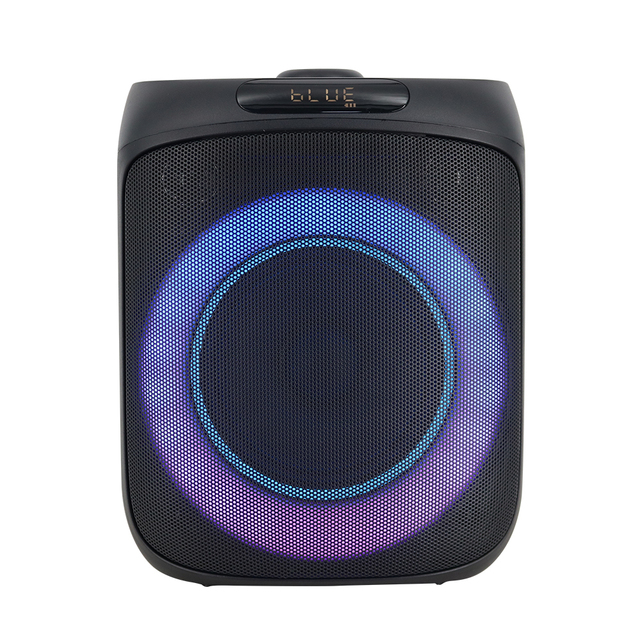 Portable Speaker with Handle AILIPU New Design Party Loudspeaker with High Quality Woofer